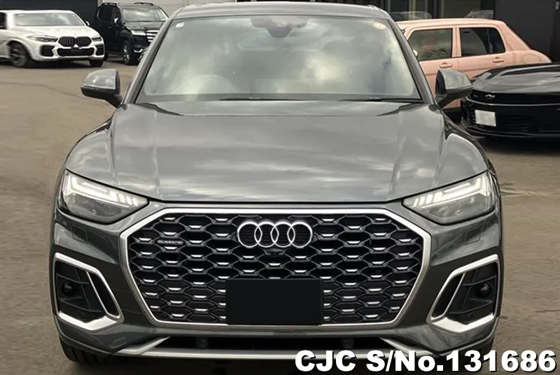 2025 Audi / Q5 Stock No. 131686