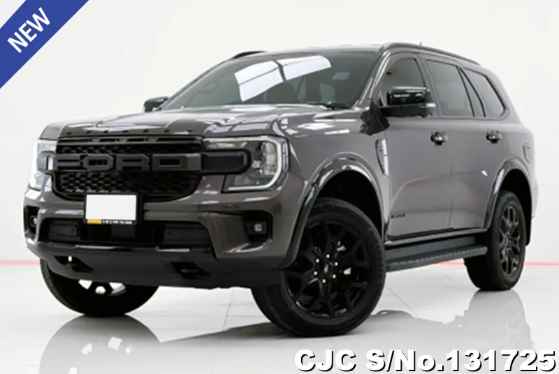 2023 Ford / Everest Stock No. 131725