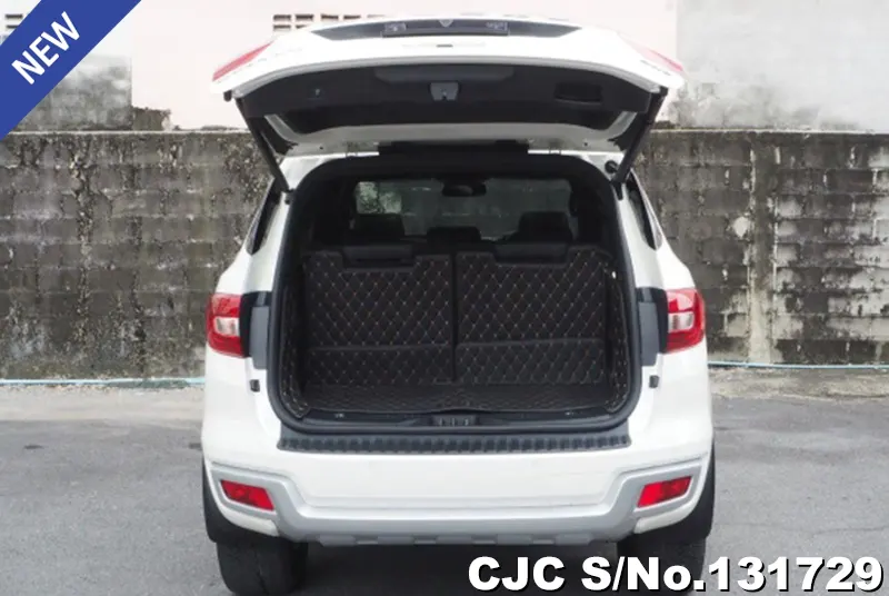 2021 Ford / Everest Stock No. 131729