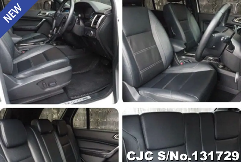 2021 Ford / Everest Stock No. 131729