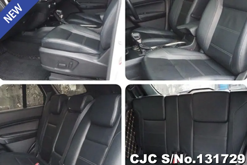 2021 Ford / Everest Stock No. 131729