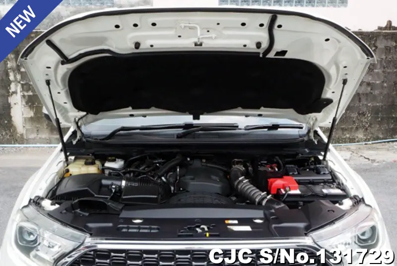 2021 Ford / Everest Stock No. 131729