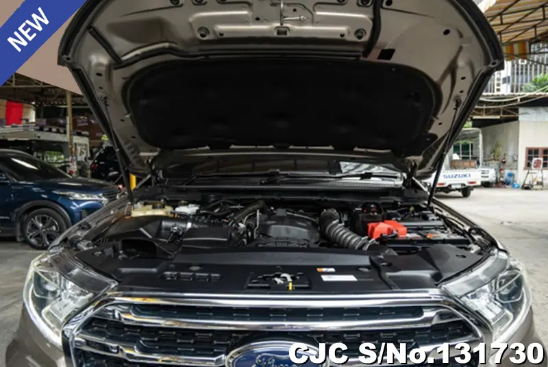 2020 Ford / Everest Stock No. 131730