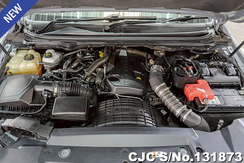 2019 Ford / Ranger / Raptor Stock No. 131873