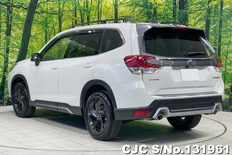 2023 Subaru / Forester Stock No. 131961