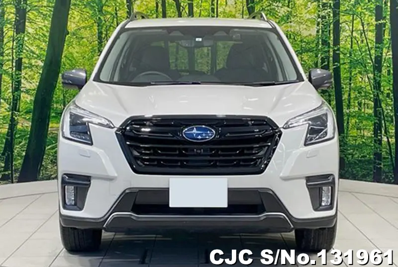 2023 Subaru / Forester Stock No. 131961