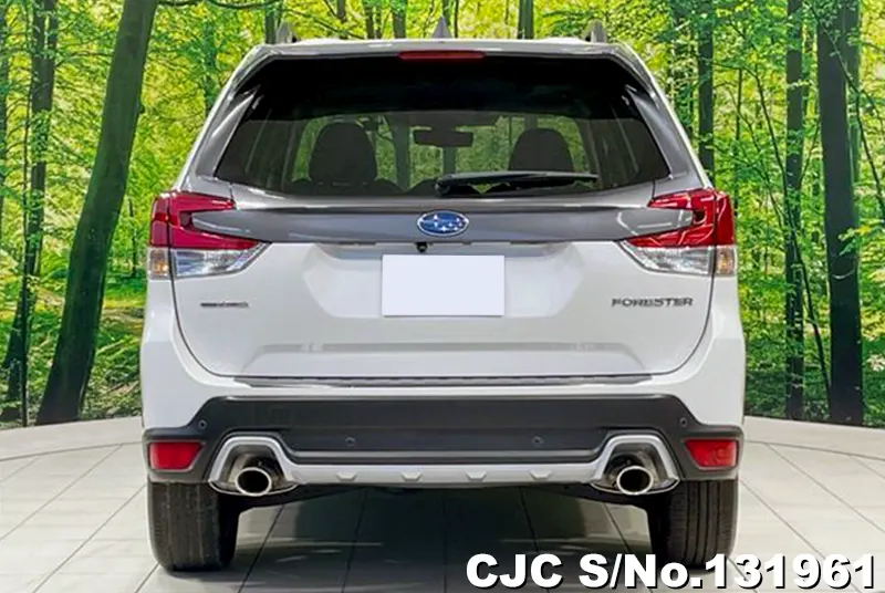 2023 Subaru / Forester Stock No. 131961