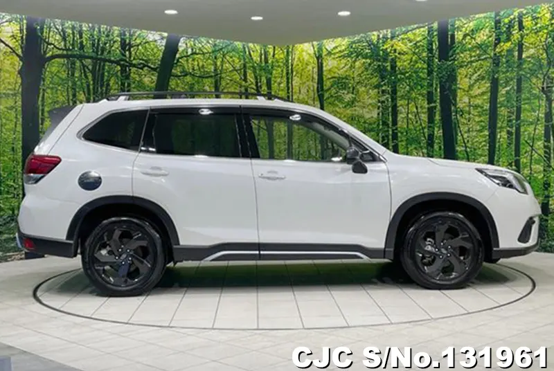 2023 Subaru / Forester Stock No. 131961
