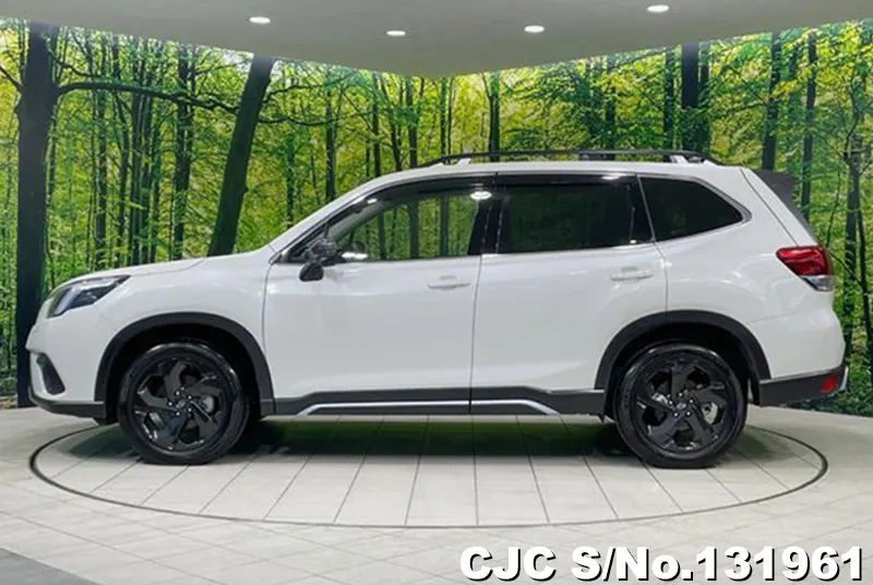 2023 Subaru / Forester Stock No. 131961