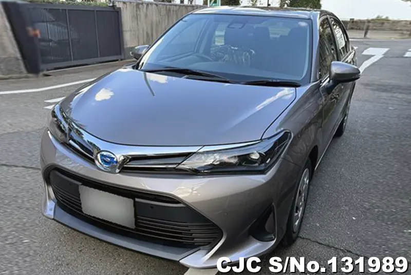 2025 Toyota / Corolla Axio Stock No. 131989