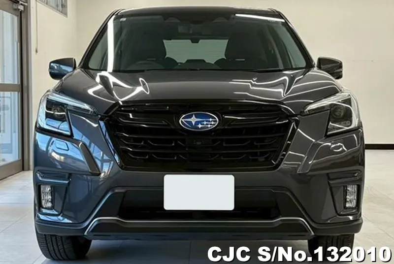 2023 Subaru / Forester Stock No. 132010