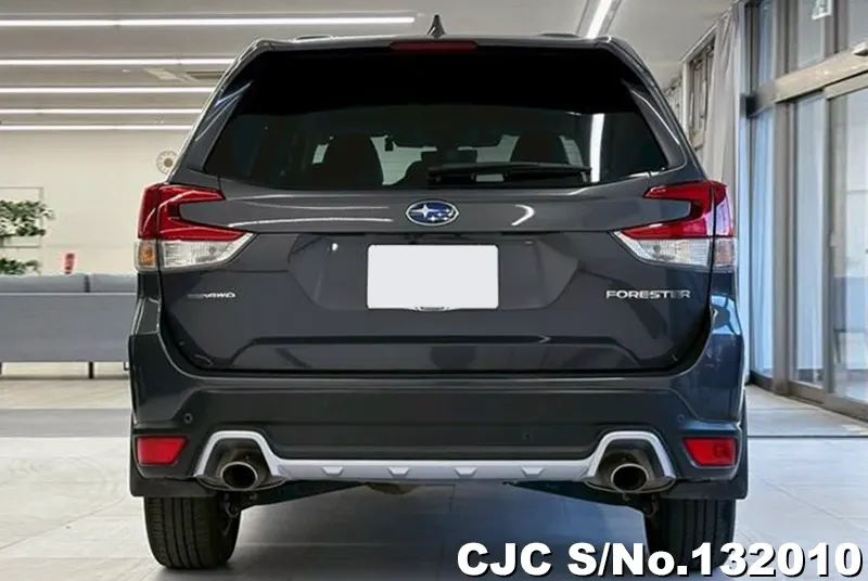 2023 Subaru / Forester Stock No. 132010