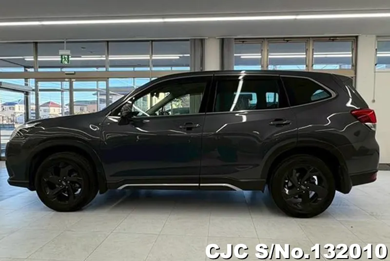 2023 Subaru / Forester Stock No. 132010
