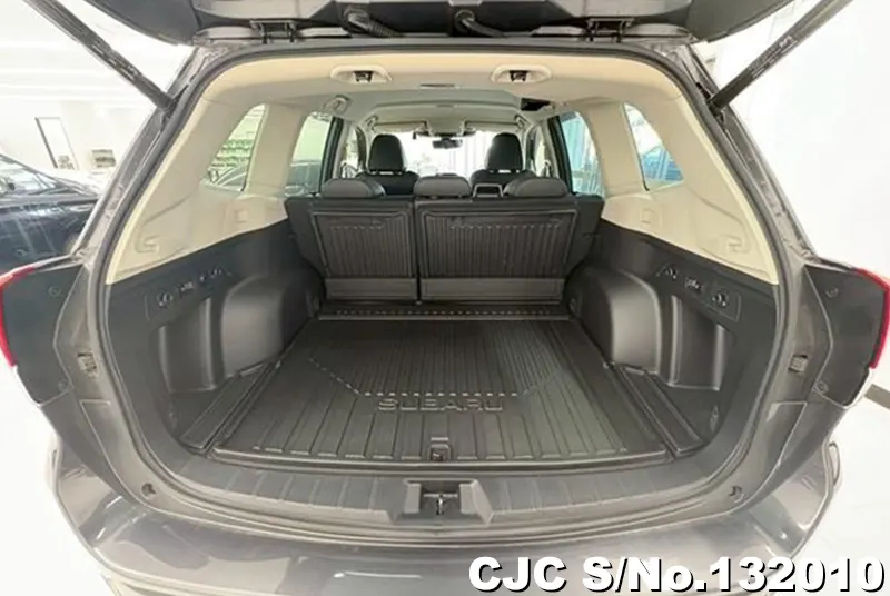 2023 Subaru / Forester Stock No. 132010