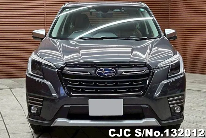 2023 Subaru / Forester Stock No. 132012