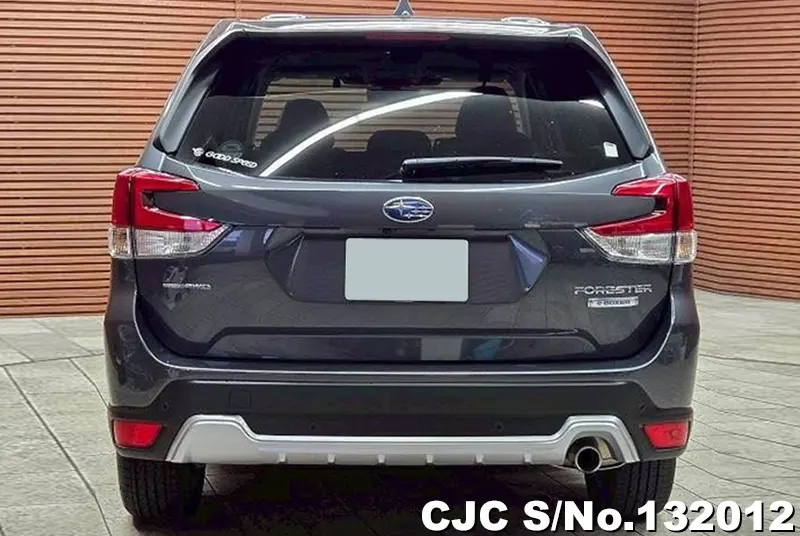 2023 Subaru / Forester Stock No. 132012