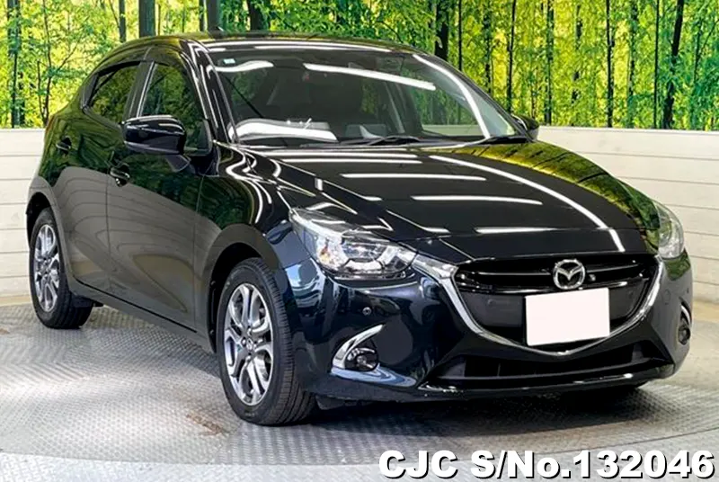2019 Mazda / Demio Stock No. 132046