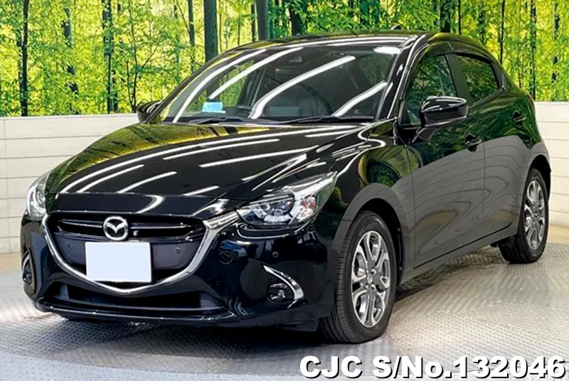 2019 Mazda / Demio Stock No. 132046