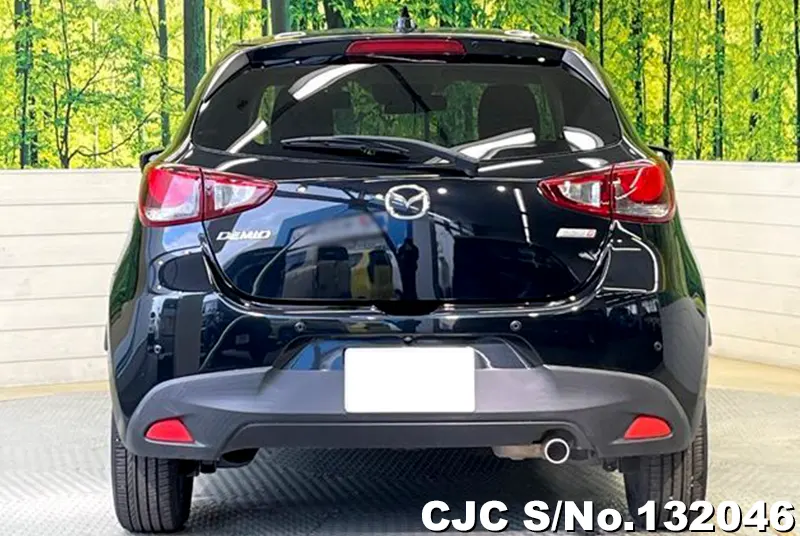 2019 Mazda / Demio Stock No. 132046