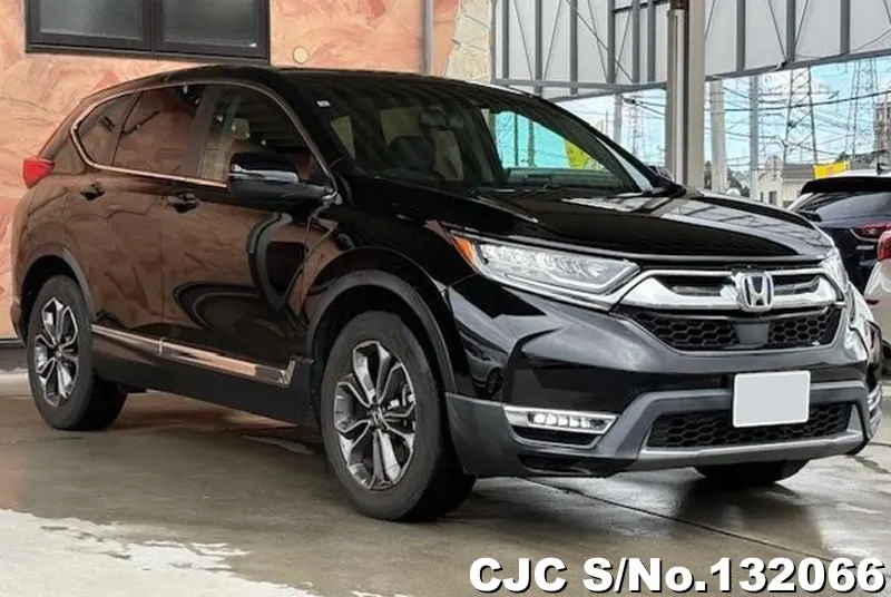 2021 Honda / CRV Stock No. 132066
