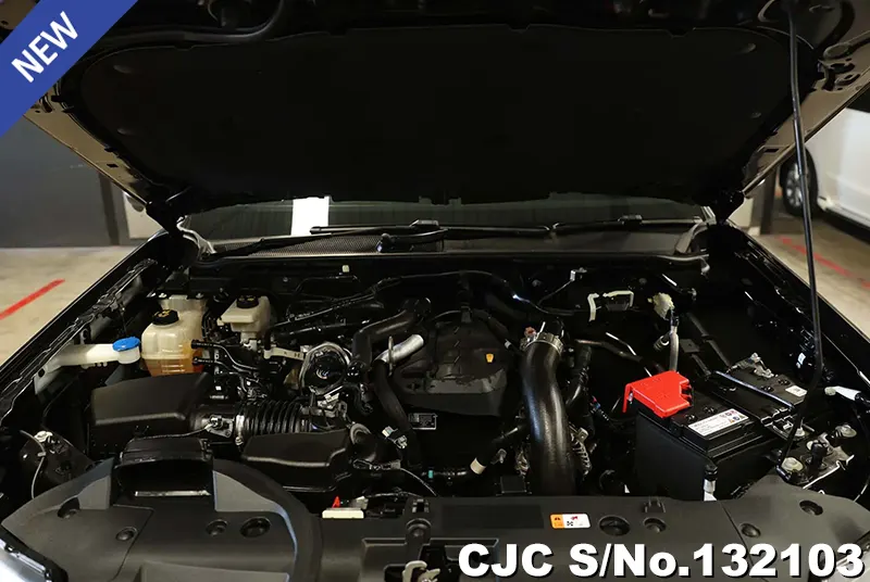 2023 Ford / Ranger Stock No. 132103