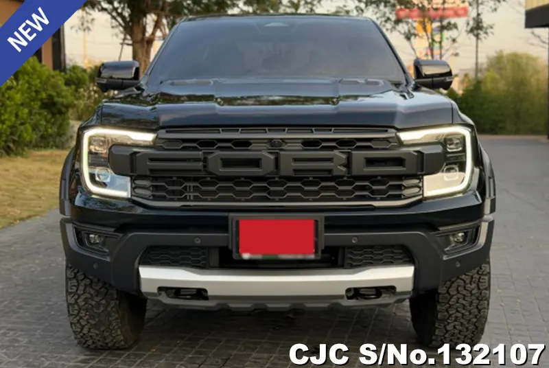 2025 Ford / Ranger / Raptor Stock No. 132107