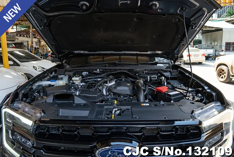 2025 Ford / Ranger Stock No. 132109