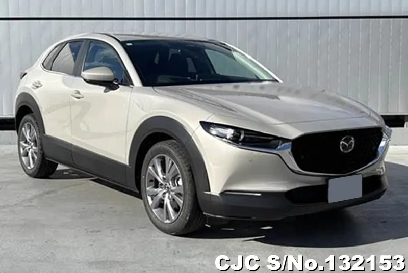 2025 Mazda / CX-30 Stock No. 132153