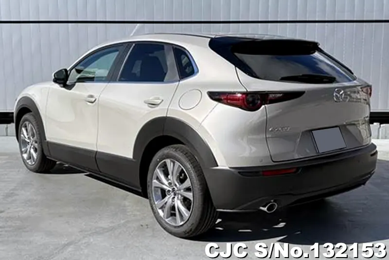2025 Mazda / CX-30 Stock No. 132153