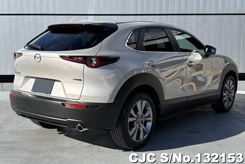 2025 Mazda / CX-30 Stock No. 132153