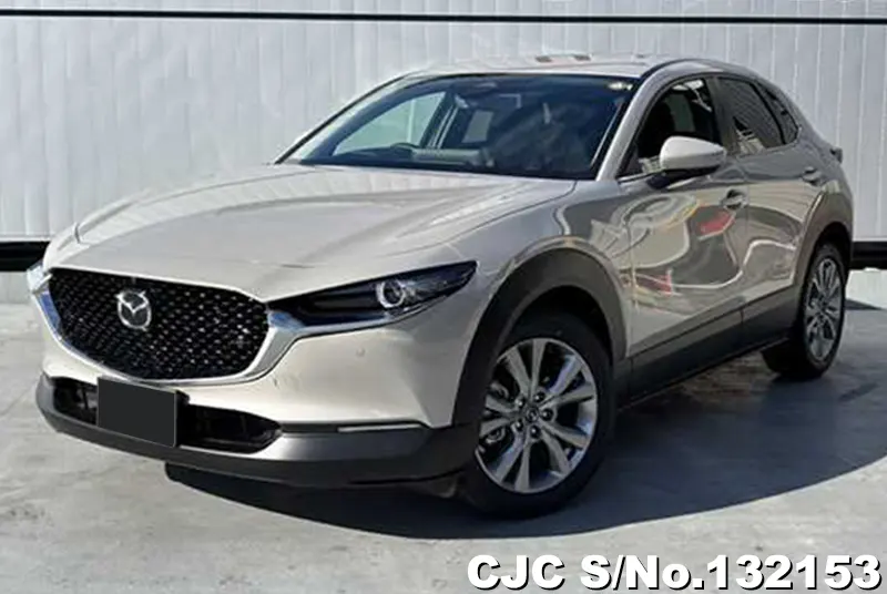 2025 Mazda / CX-30 Stock No. 132153
