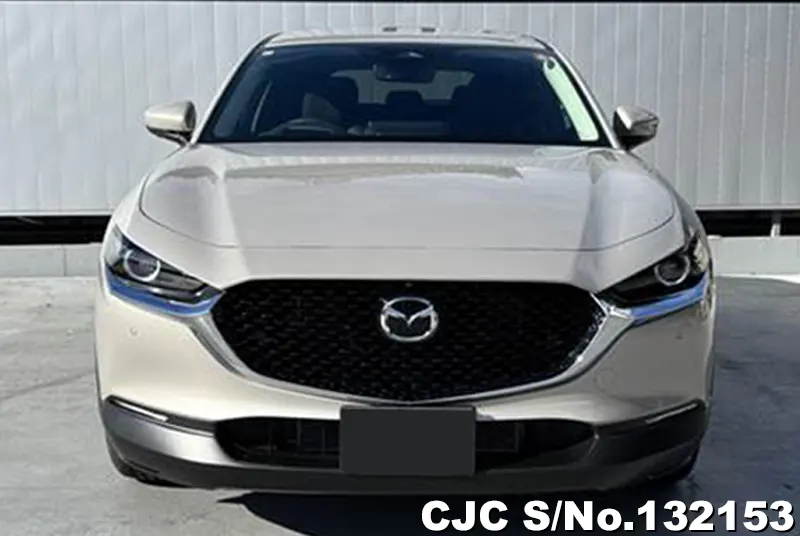2025 Mazda / CX-30 Stock No. 132153