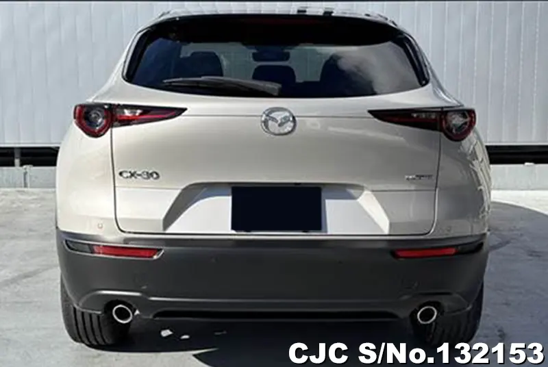 2025 Mazda / CX-30 Stock No. 132153