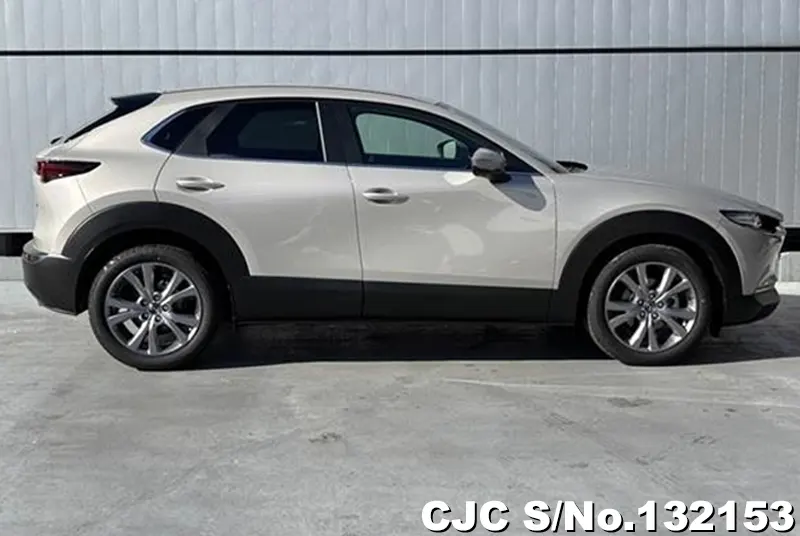 2025 Mazda / CX-30 Stock No. 132153