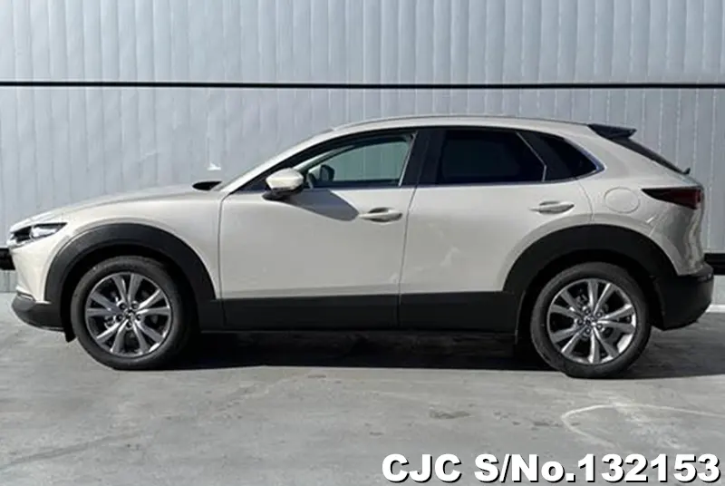 2025 Mazda / CX-30 Stock No. 132153