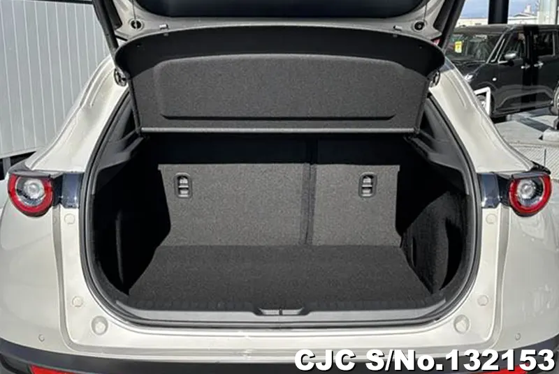 2025 Mazda / CX-30 Stock No. 132153