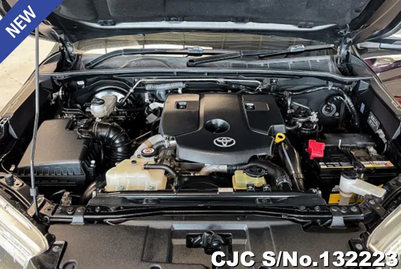 2019 Toyota / Hilux / Revo Stock No. 132223