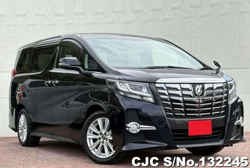 2015 Toyota / Alphard Stock No. 132245