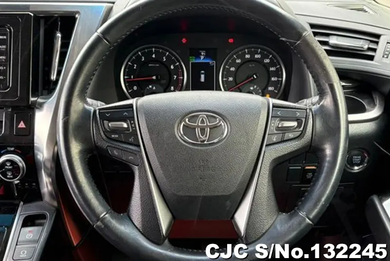 2015 Toyota / Alphard Stock No. 132245