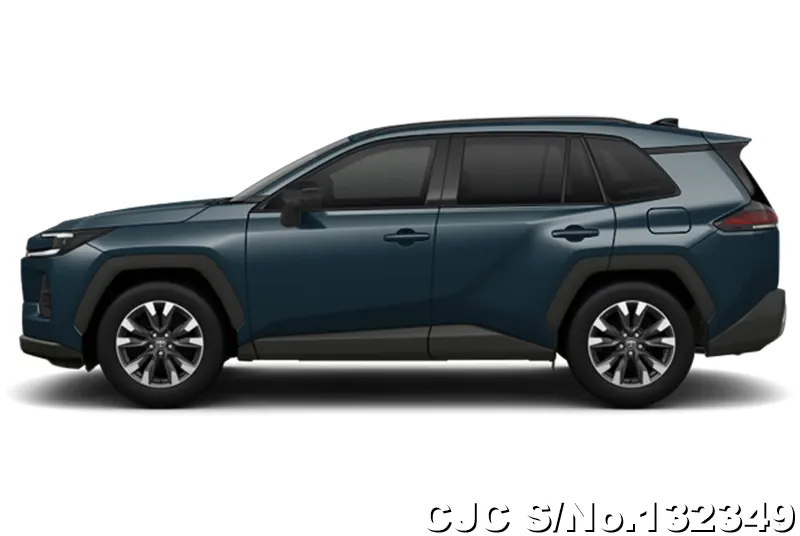 Toyota Rav4 in Massive Gray for Sale Image 7