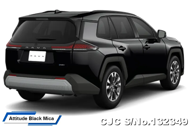 Toyota Rav4 in Massive Gray for Sale Image 13