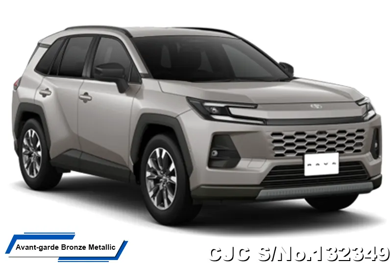 Toyota Rav4 in Massive Gray for Sale Image 14