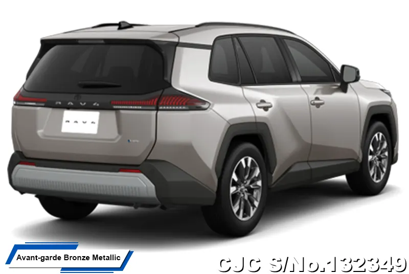 Toyota Rav4 in Massive Gray for Sale Image 15