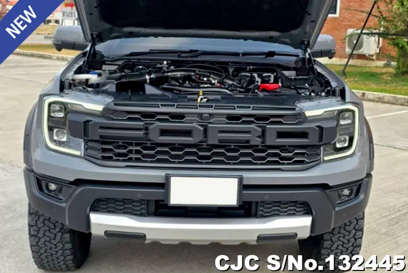 Ford Ranger in Gray for Sale Image 11