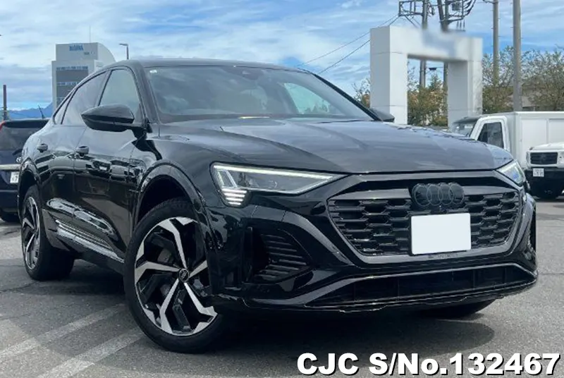 2024 Audi / Q8 Stock No. 132467