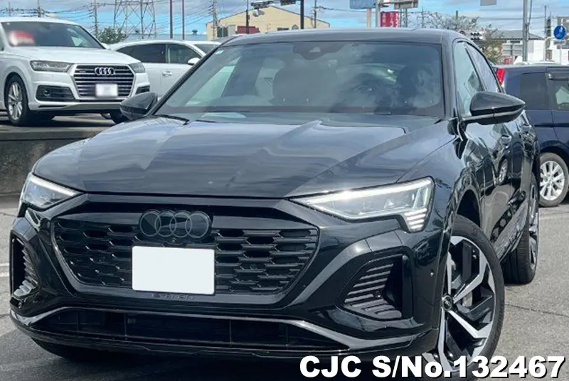 2024 Audi / Q8 Stock No. 132467