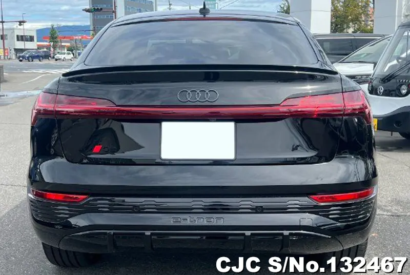 2024 Audi / Q8 Stock No. 132467