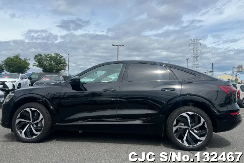 2024 Audi / Q8 Stock No. 132467