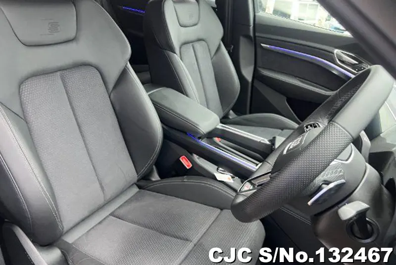 2024 Audi / Q8 Stock No. 132467