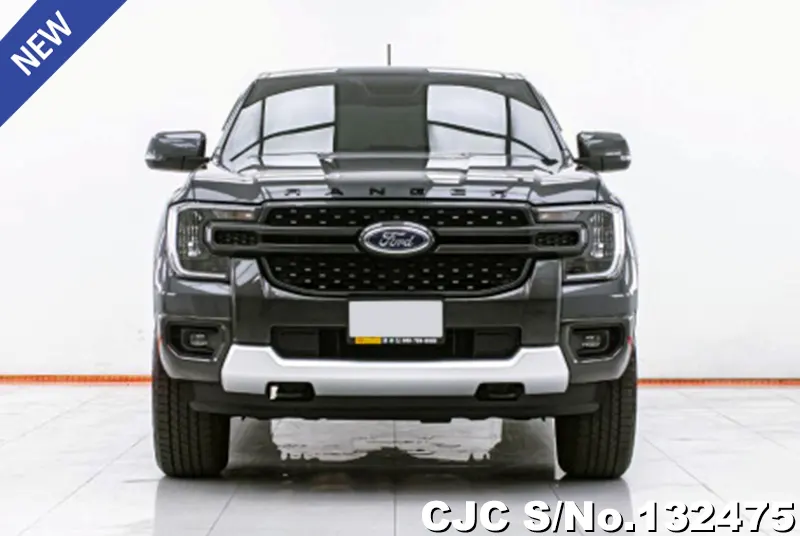 Ford Ranger in Gray for Sale Image 3
